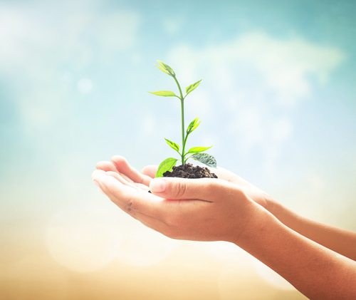 shutterstock_313109618