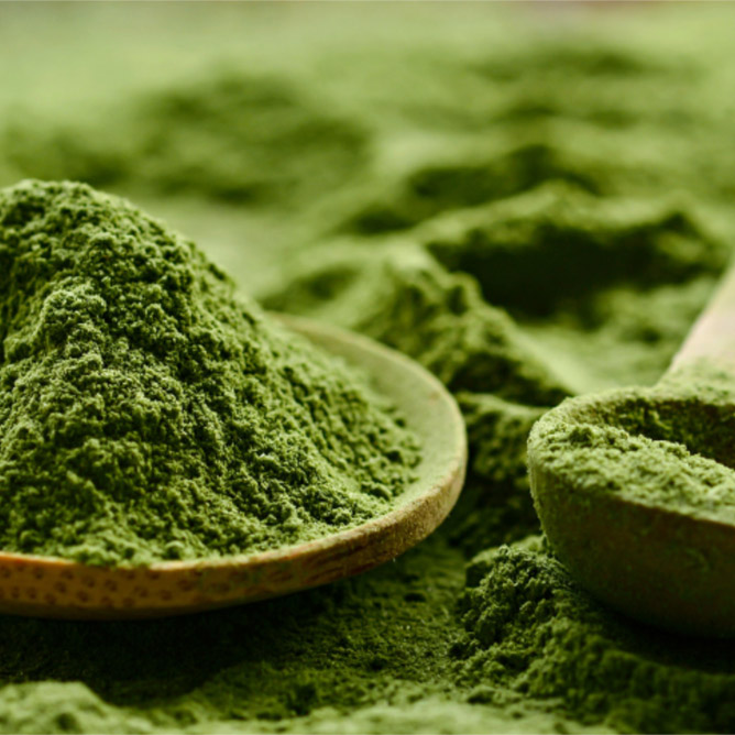 matcha-ster-van-bethlehem1-1